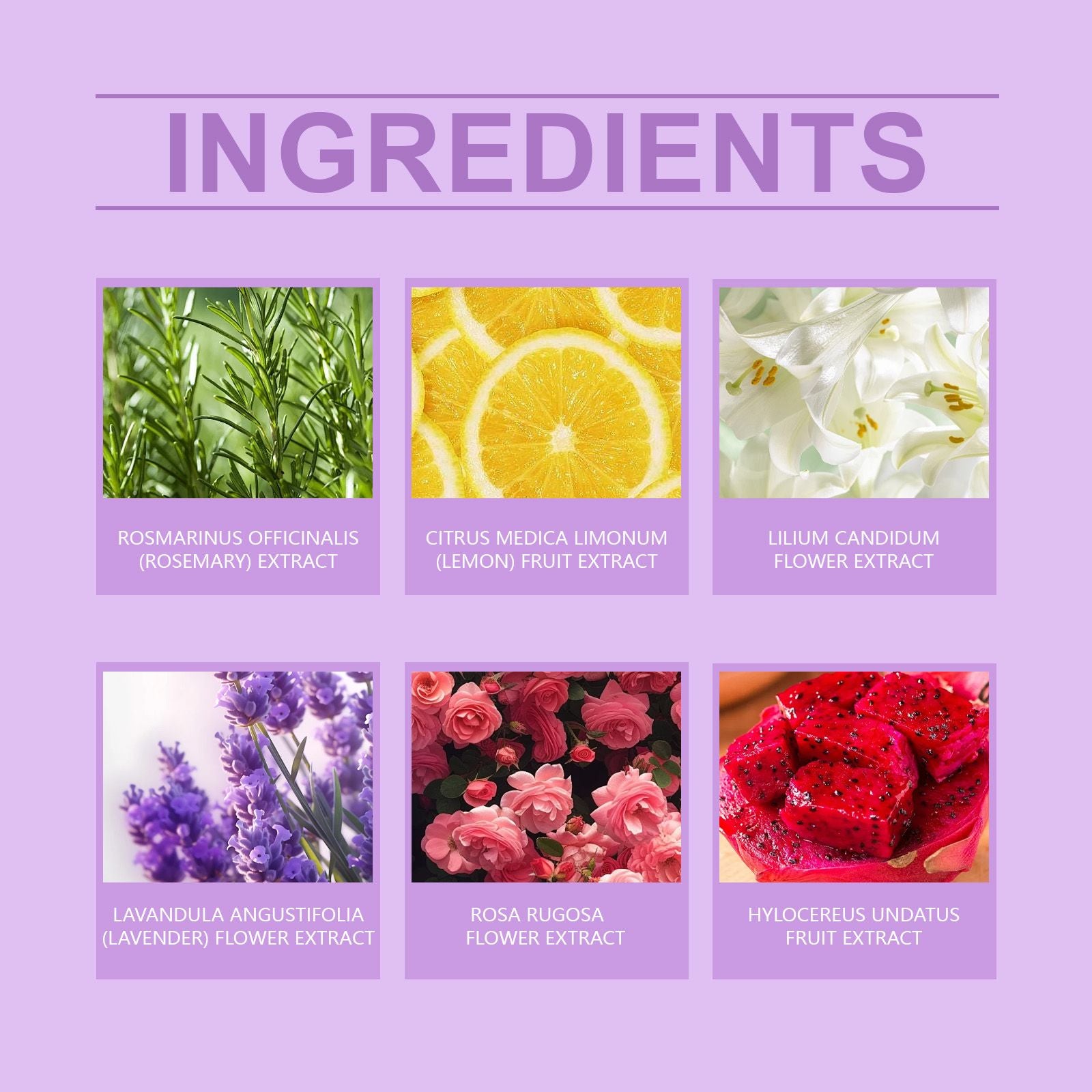 OceAura Blasen-Salz-Badkugel, Blasen-Duschduft Feuchtigkeitsspendend Floraler Lang anhaltender Pflanzenreinigungs-Badkugel