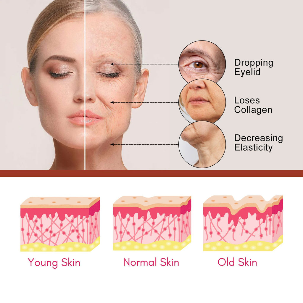 West&Month Palmitoylpeptid-Reversal Serum, Linien verblassen, feuchtigkeitsspendend und straffend, Anti-Falten-Essenz